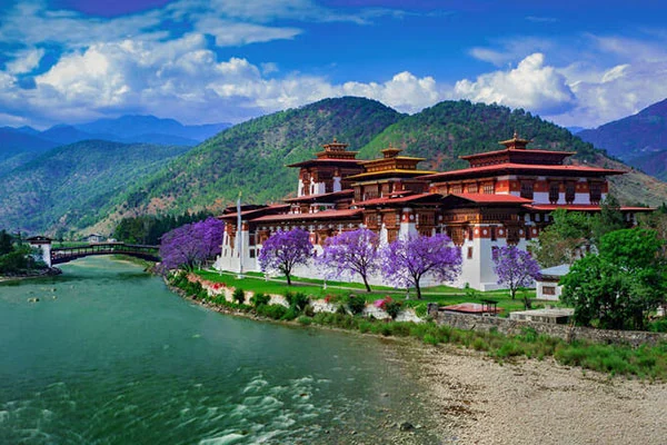 Punakha Dzong by the river tour